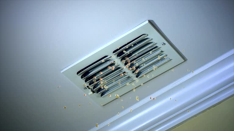 Best Ductwork Cleaning Services  in Parkwood, WA