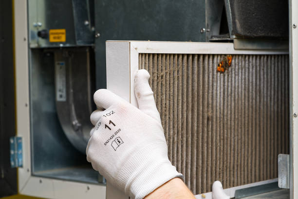 Best Local Air Duct Cleaning Services  in Parkwood, WA