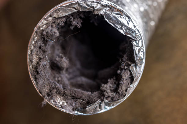 HVAC System Cleaning in WA