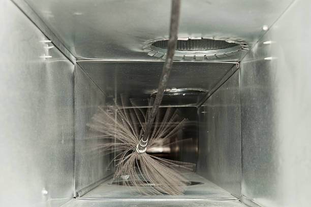 Best Affordable Duct Cleaning Services  in Parkwood, WA