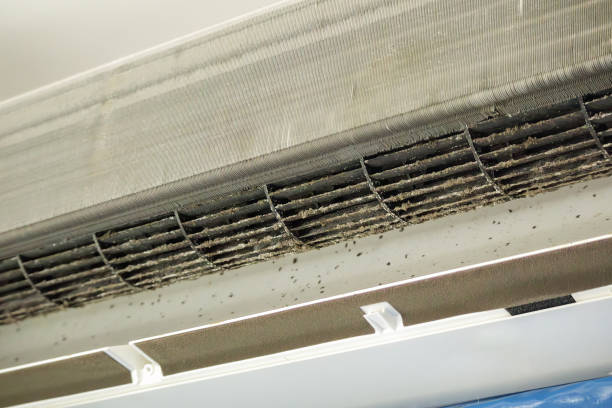 Best Professional Duct Cleaning Services  in Parkwood, WA